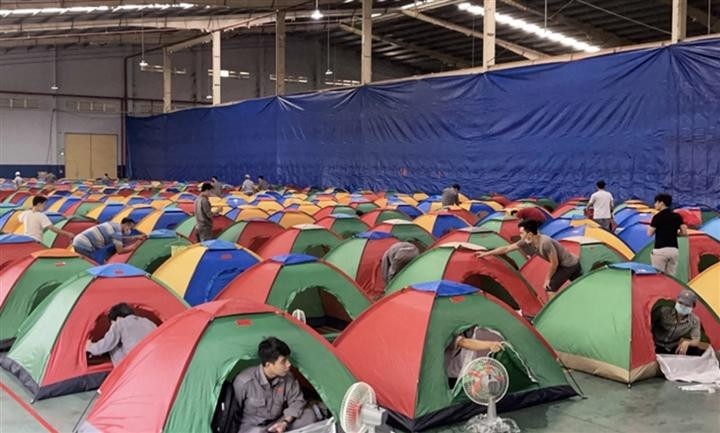 Businesses focusing on sustainable development dealing with pandemic