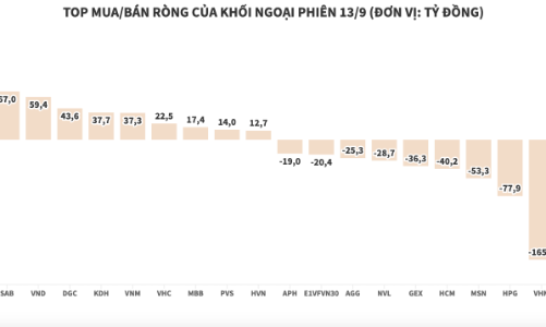 THD được thêm vào rổ VNM ETF, khối ngoại bắt đầu gom ròng hàng
