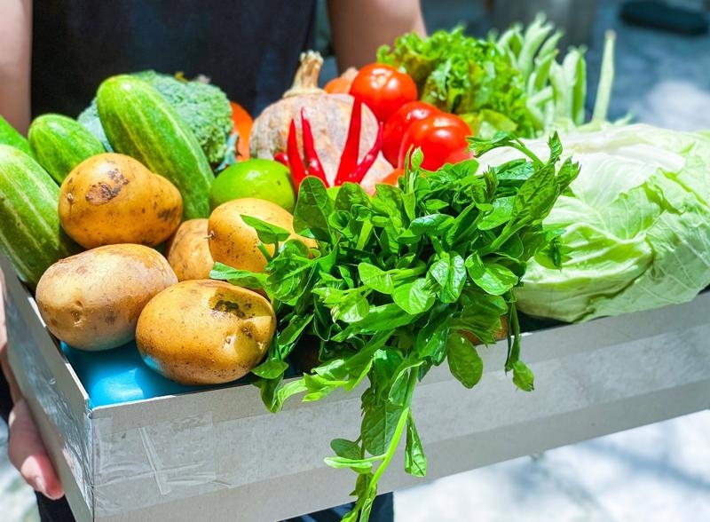 Businesses expanding into food supply