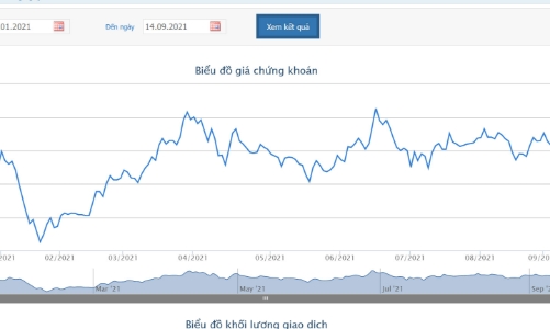Lỗ luỹ kế lớn, cổ phiếu TTF tiếp tục bị kiểm soát 