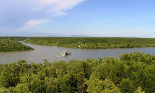 Sau tour thí điểm Cần Giờ, doanh nghiệp du lịch TP.HCM 