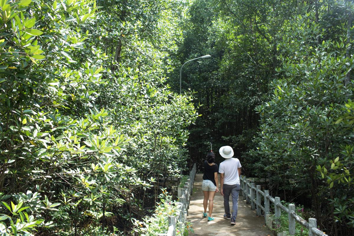 Cần Giờ có nhiều điểm tham quan, du lịch cách biệt với khu dân cư, rất phù hợp để tổ chức tour khép kín cho du khách.