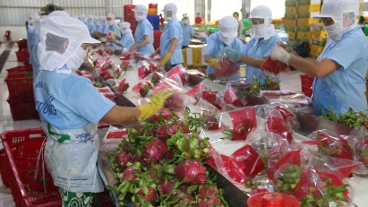 Minister calls for cooperation in agricultural recovery