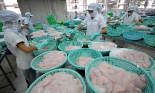 “Đứt gãy” các yếu tố đầu vào khiến doanh nghiệp thủy sản khó phục hồi sản xuất