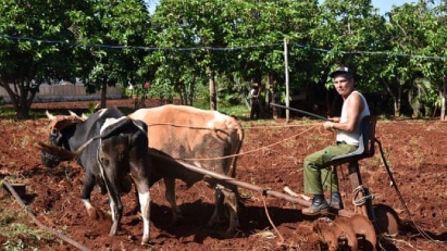 Vietnam supporting Cuba in aquaculture