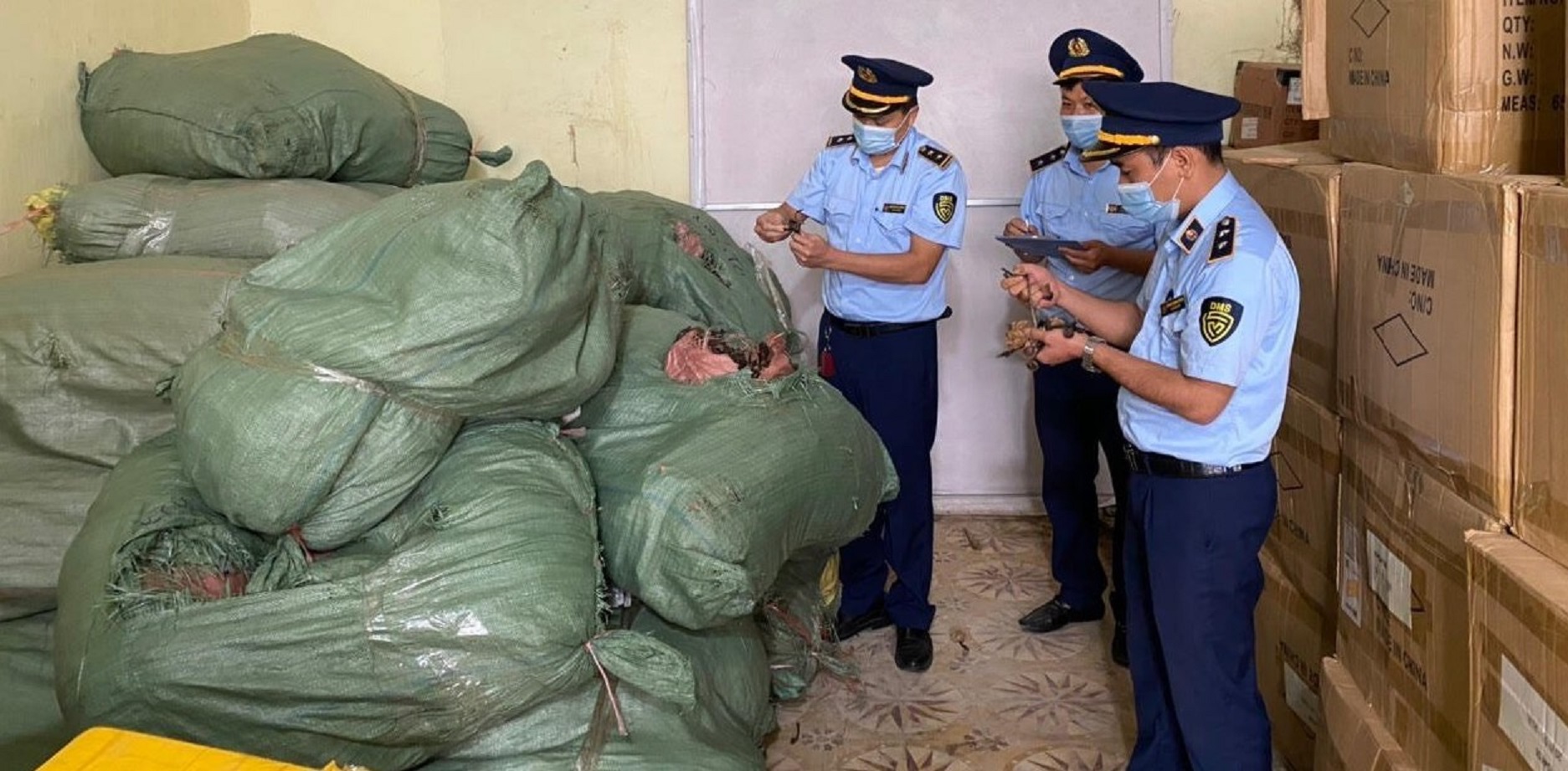 6 tạ nấm lim và linh chi không rõ xuất xứ bị bắt giữ.