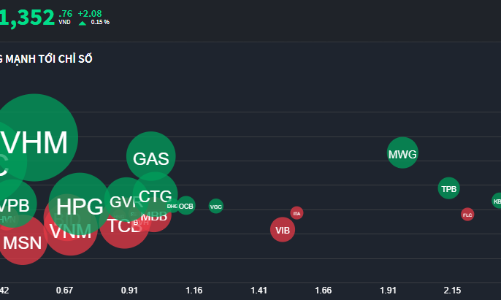 Cổ phiếu đầu cơ chao đảo sau “thông điệp” giám sát