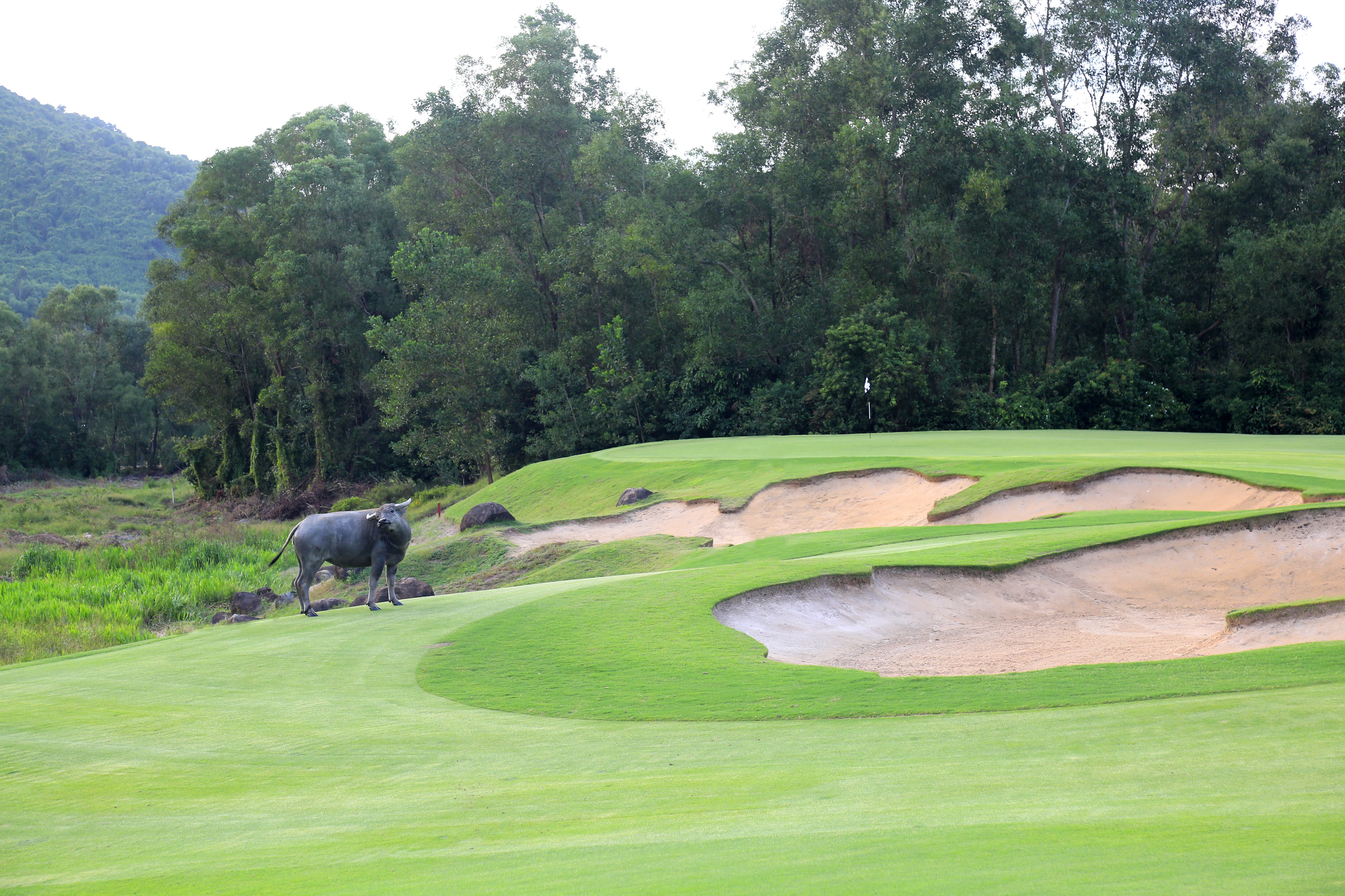 Sân golf từng đoạt nhiều giải thưởng quốc tế của Laguna Lăng Cô.