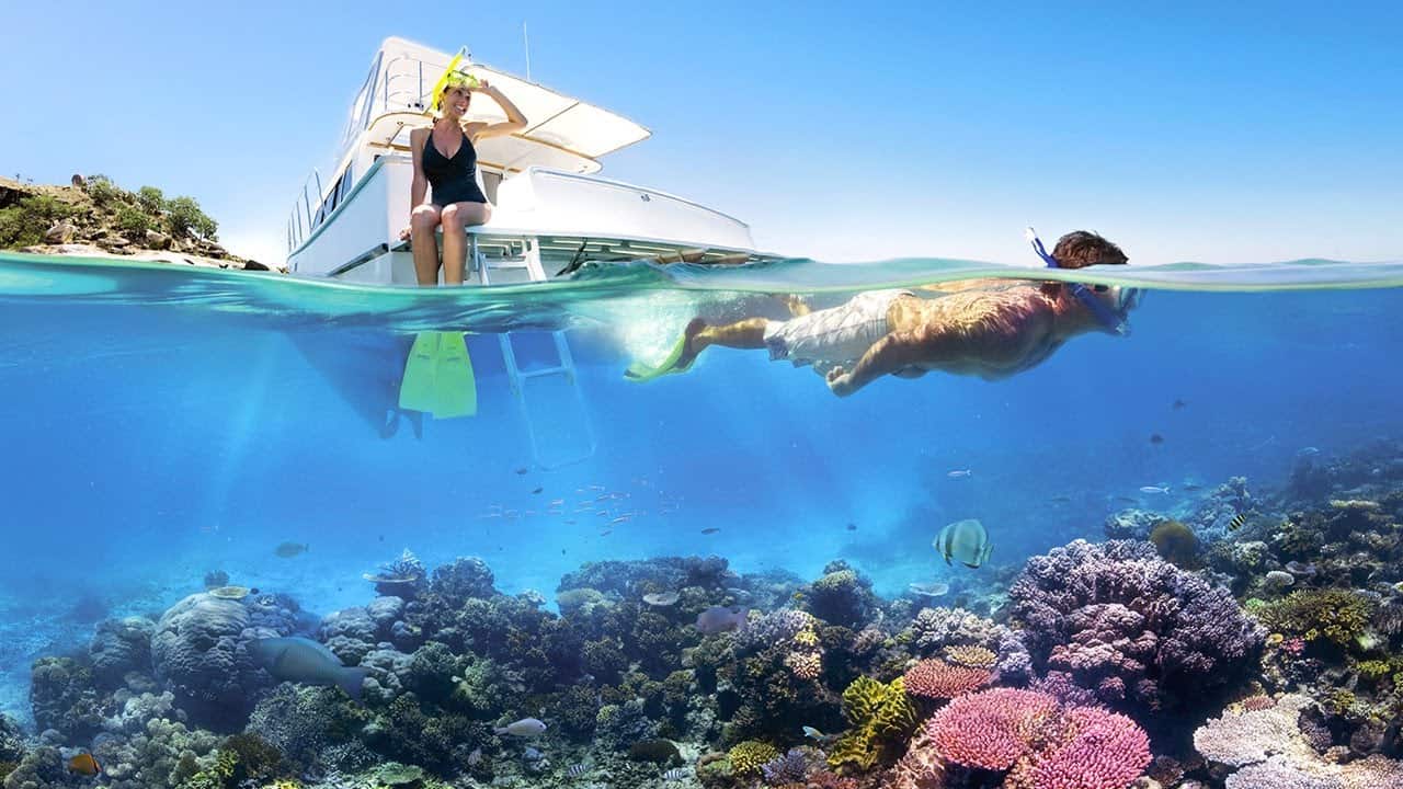 Doanh nghiệp đang chờ đợi một quy tr&igrave;nh chi tiết, chuẩn h&oacute;a để vận dụng v&agrave;o c&ocirc;ng t&aacute;c điều h&agrave;nh tour.