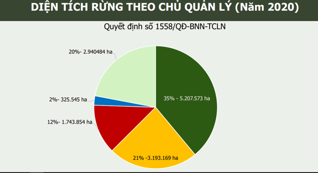 Diện tích rừng theo chủ quản lý