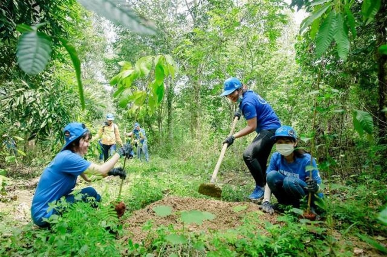 Muốn bảo vệ và phát triển tốt, rừng phải có chủ.