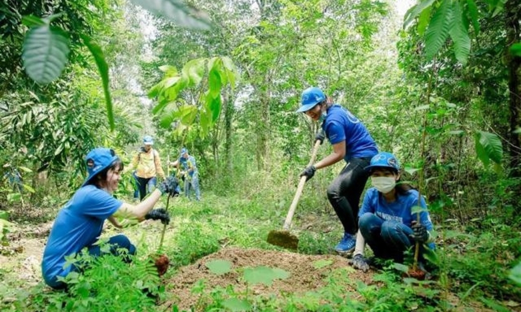 Muốn bảo vệ và phát triển tốt, rừng phải có chủ.
