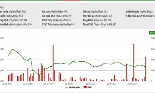 VEAM dự chi gần 615 tỷ trả nốt cổ tức 2020 bằng tiền