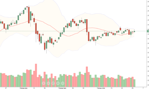 Blog chứng khoán: Vì sao dòng tiền mất hút?