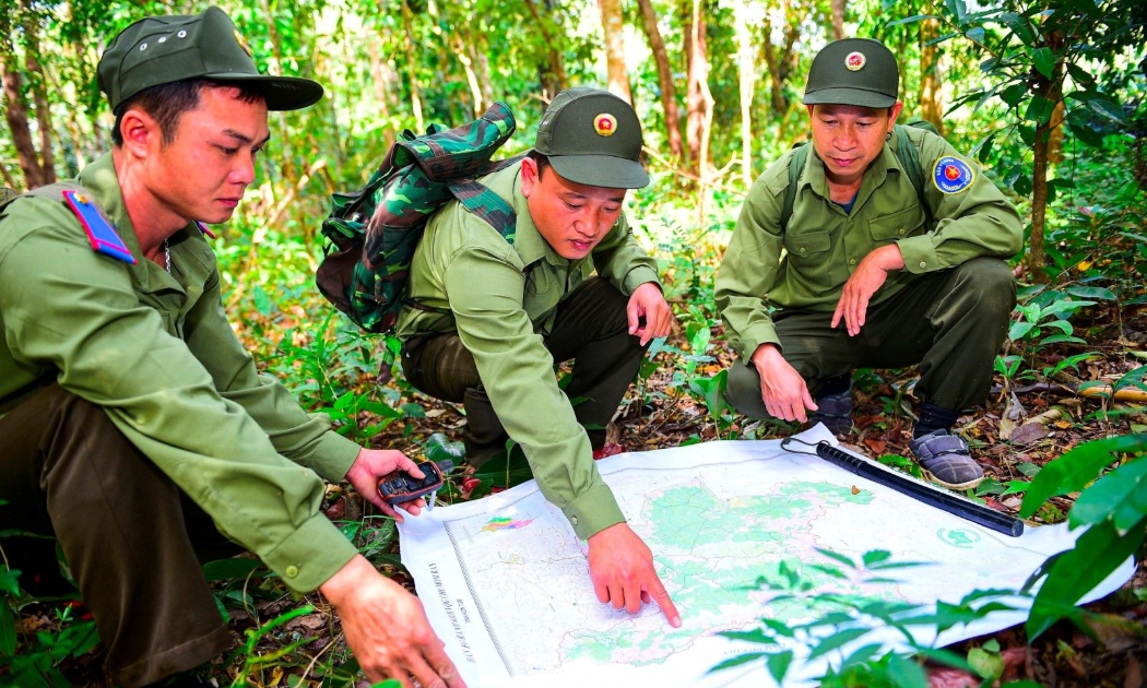 Tăng cường công tác bảo vệ rừng.