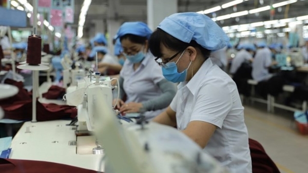 Hoàn thành hỗ trợ lao động từ quỹ Bảo hiểm thất nghiệp trong tháng 10