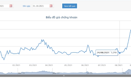 VPH bị đình chỉ kinh doanh bất động sản trong vòng 12 tháng, Quỹ ngoại Pyn Elite Fund liên tục thoái vốn 