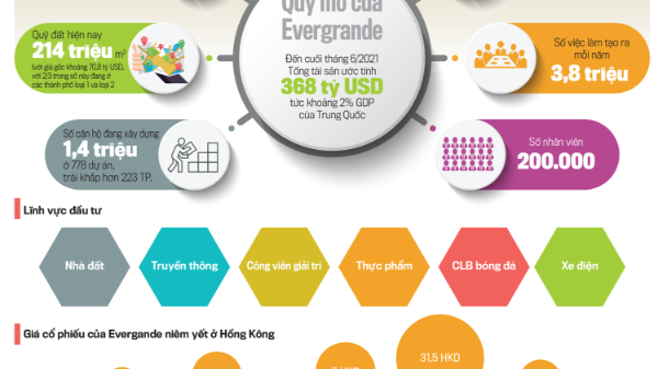 Evergrande về lại 