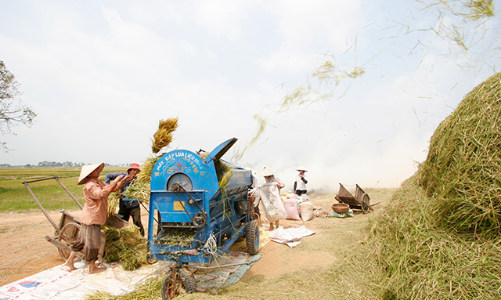 Nông nghiệp thể hiện vai trò bệ đỡ cho nền kinh tế