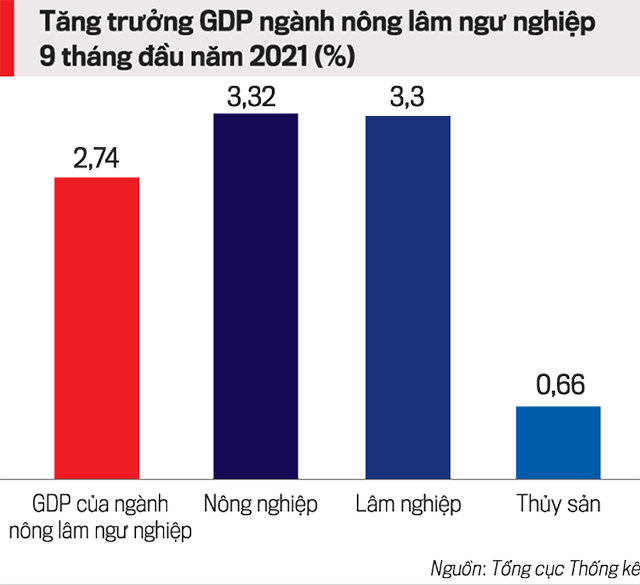 Tăng trưởng GDP theo từng lĩnh vực