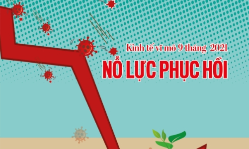 Tạp chí Kinh tế Việt Nam số  65