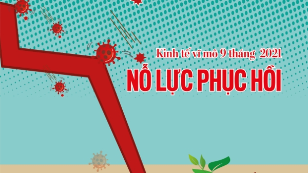 Tạp chí Kinh tế Việt Nam số  65