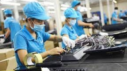 Support needed for SMEs