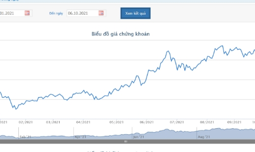 Mua không báo cáo, Chủ tịch HCM bị phạt tiền