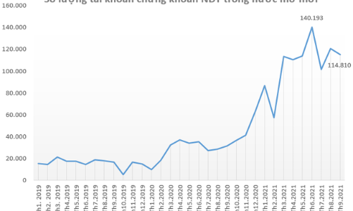 Hơn 115 nghìn tài khoản chứng khoán mở mới trong tháng 9/2021