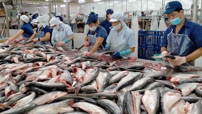 Agricultural processing companies maintain export markets