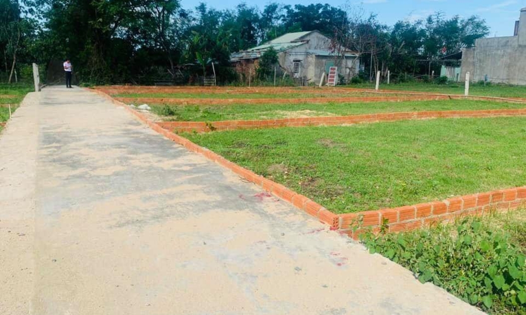 Đà Nẵng tập trung làm rõ việc chuyển mục đích từ đất rừng sản xuất, đất rừng phòng hộ, đất rừng đặc dụng sang các loại đất khác.