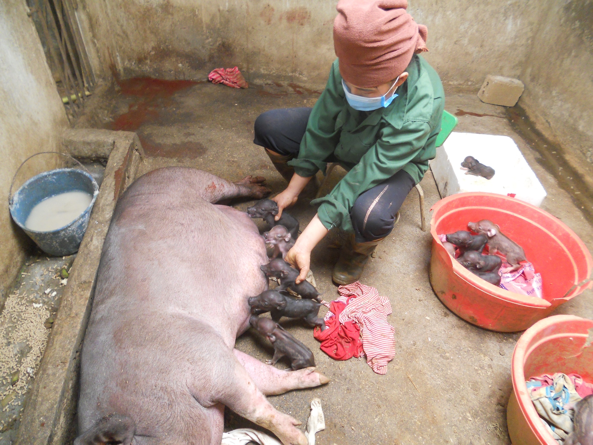 Bức ảnh của Hà Văn Chung (người dân tộc Thái) tại triển lãm (người trong ảnh là Lèo Thị Xiền. 