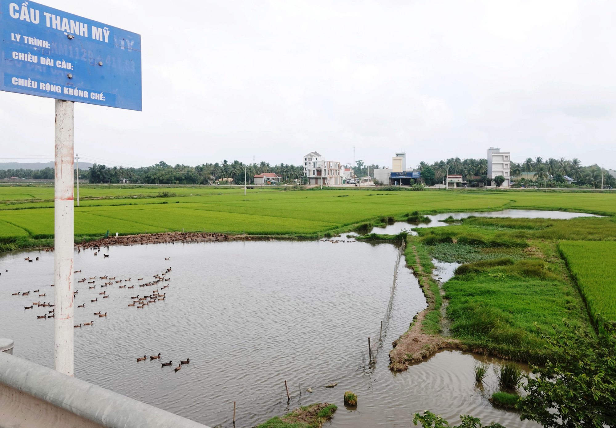 Mất ruộng do thi công Quốc lộ 1 nhưng 6 năm chưa được bồi thương, nông dân Bình Định tiếp tục kiến nghị Bộ Giao thông vận tải xử lý.