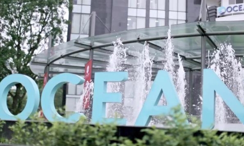 Hơn 10 triệu cổ phiếu OCH của OGC bị kê biên, xử lý để thi hành án 