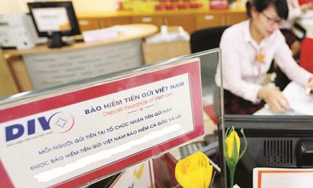Bảo hiểm tiền gửi Việt Nam luôn nỗ lực không ngừng để bảo vệ quyền lợi người gửi tiền.
