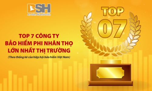 BSH giữ vững vị trí Top 7 công ty Bảo hiểm phi nhân thọ
