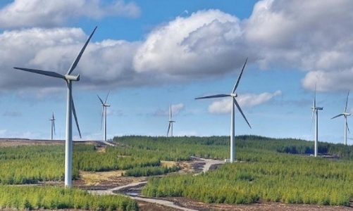 Thêm 170,6 MW điện gió được công nhận vận hành thương mại