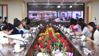 Green human resources management a path towards sustainability