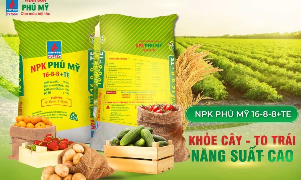 NPK Phú Mỹ có nhiều dòng công thức và được bà con nông dân đón nhận, đánh giá cao.