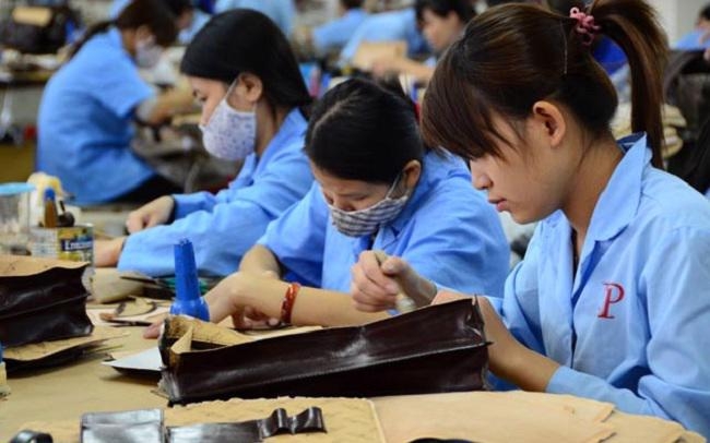 MoLISA identifies 3 scenarios to resolve labor shortage