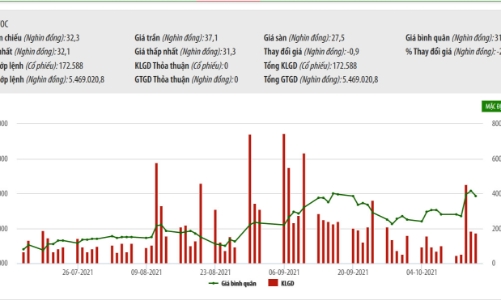 SCIC tiếp tục chào bán 36,30% vốn tại Vocarimex
