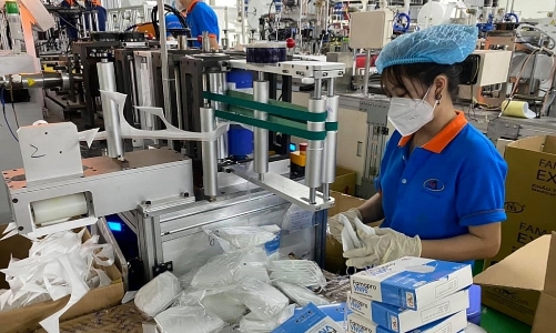 TP.HCM: Hơn 111.000 lao động hưởng hỗ trợ từ Quỹ bảo hiểm thất nghiệp