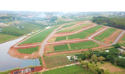 Giao cơ quan điều tra việc hiến đất để phân lô, bán nền trá hình ở Lâm Đồng