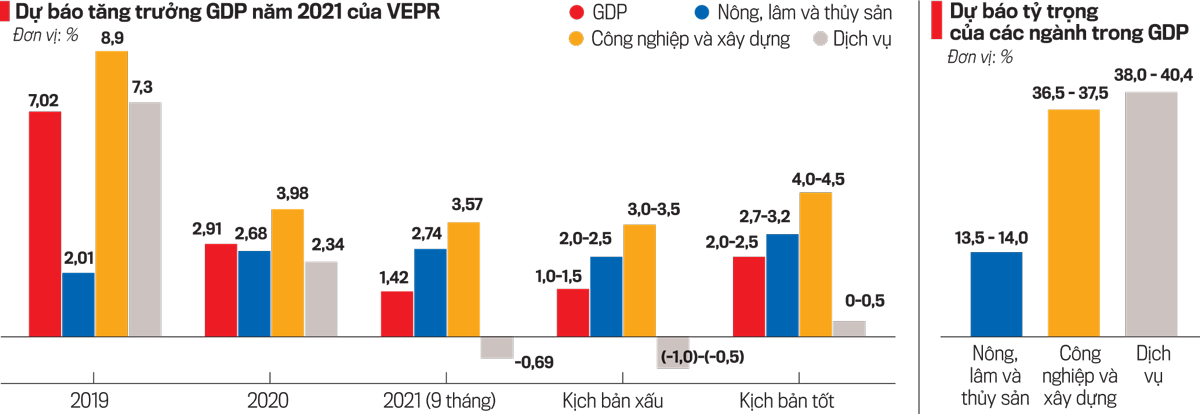 Dự báo tăng trưởng GDP của VEPR