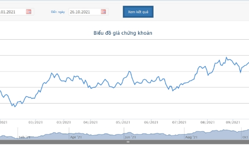 Mua trước thời gian công bố, Tổng giám đốc của PET bị phạt tiền