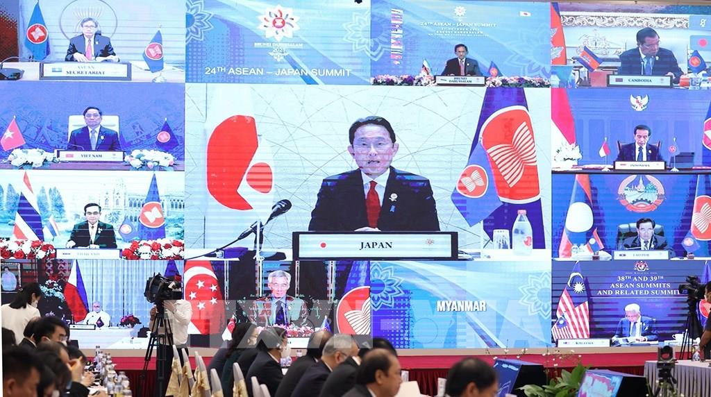 Hội nghị được tổ chức theo hình thức trực tuyến - Ảnh: TTXVN