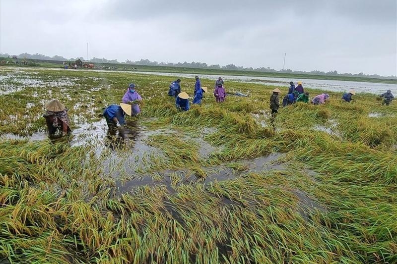 Boosting coverage of agricultural insurance
