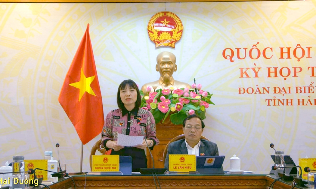 Đại biểu Nguyễn Thị Việt Nga - Đoàn đại biểu Quốc hội tỉnh Hải Dương phát biểu tại phiên thảo luận - Ảnh: Quochoi.vn
