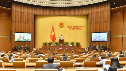  NA calls for amendments to Law on Social Insurance