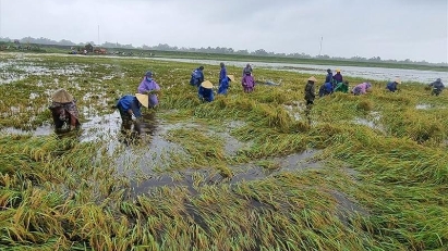 Talk show discusses agriculture’s post-pandemic adaptability